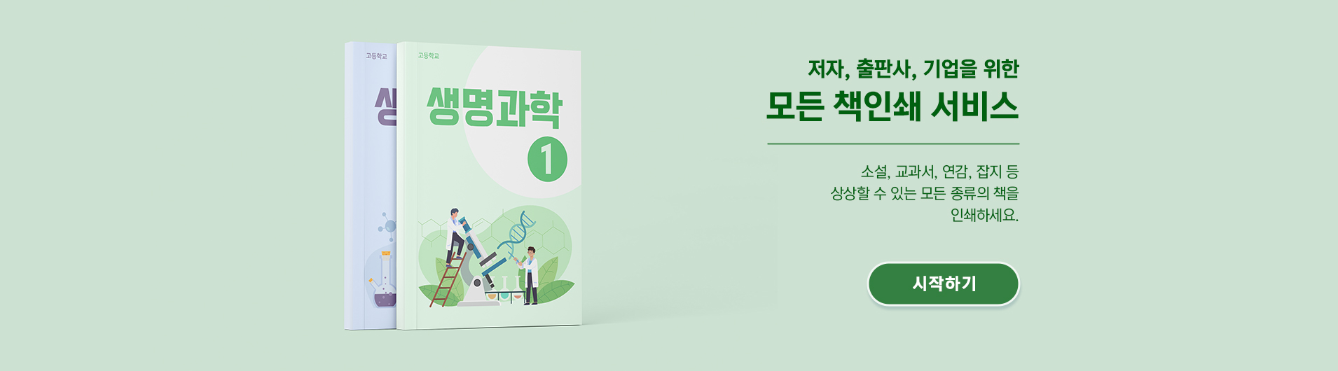 모노디앤피